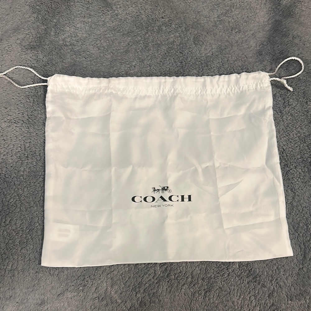 Coach White Storage Bag
